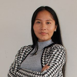 PROYECTO NAPSIS DIGITAL